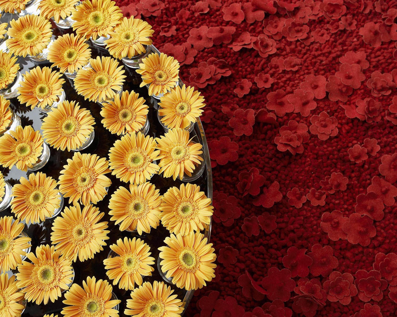 fleurs fond d'écran Widescreen close-up #21 - 1280x1024