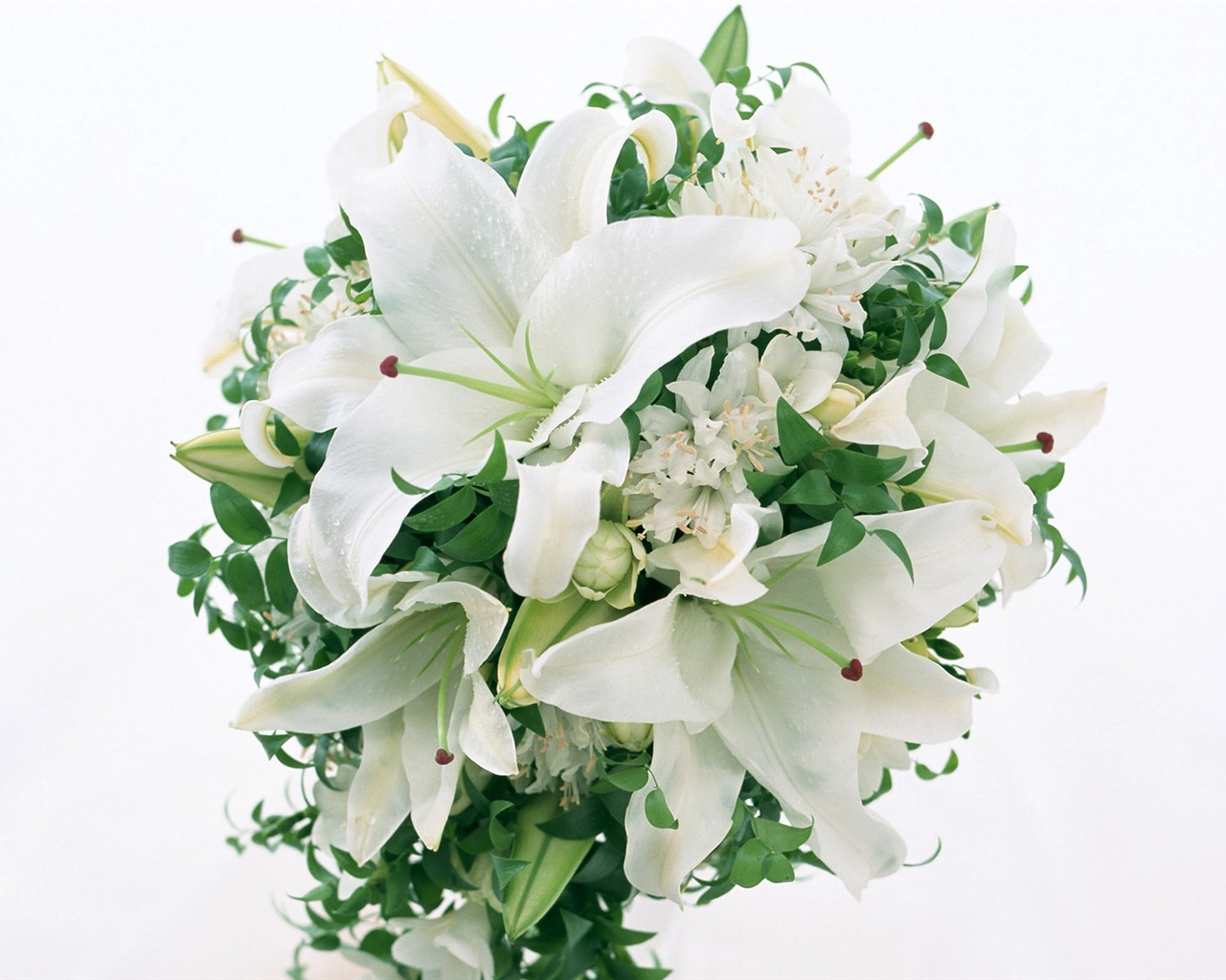 눈같이 흰 꽃 벽지 #5 - 1280x1024