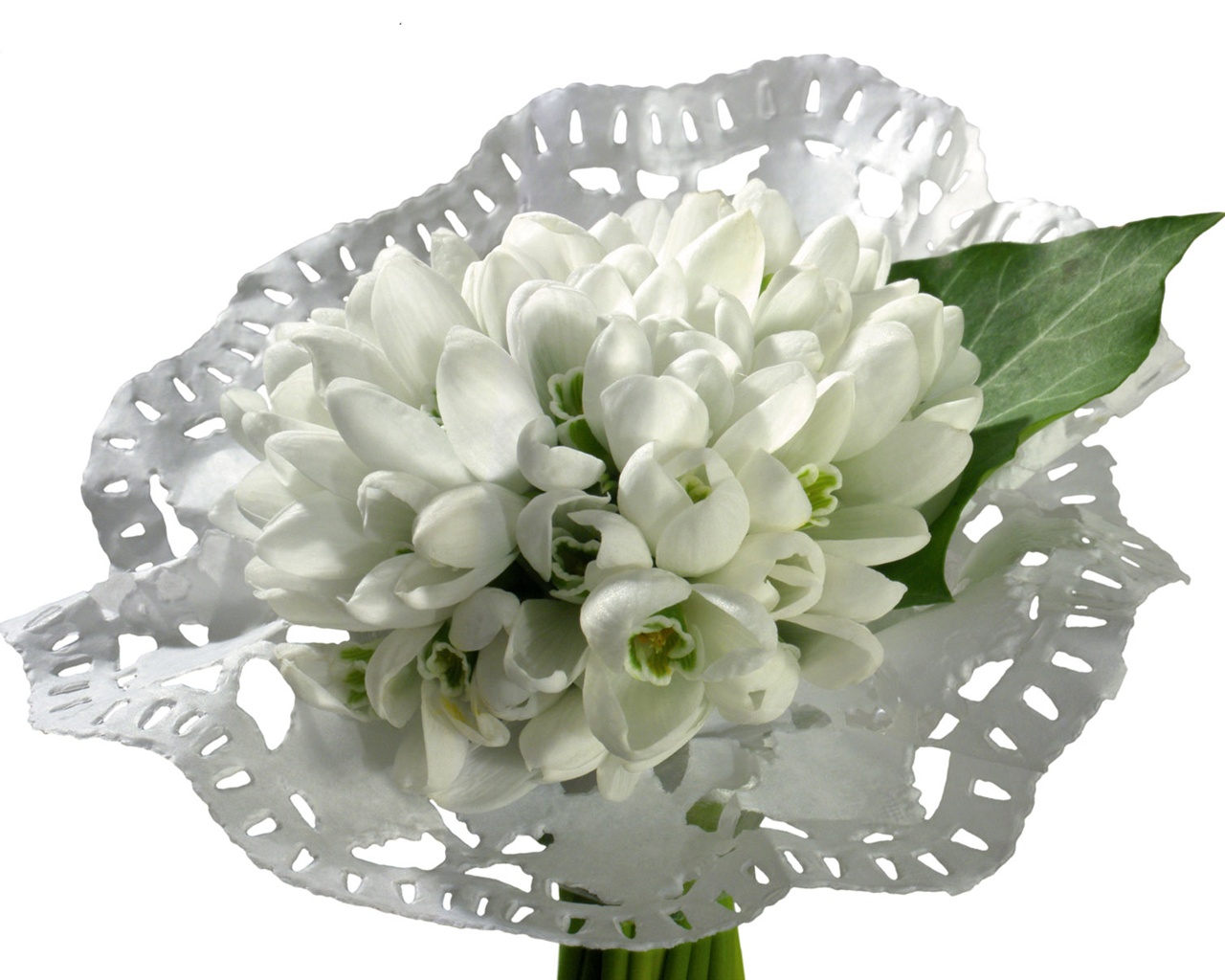 눈같이 흰 꽃 벽지 #8 - 1280x1024