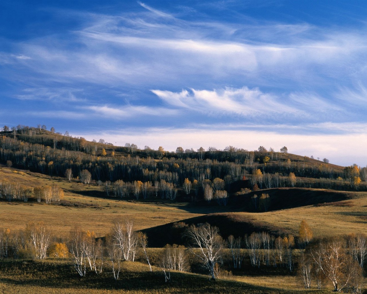 El fondo de pantalla bosque del otoño #32 - 1280x1024