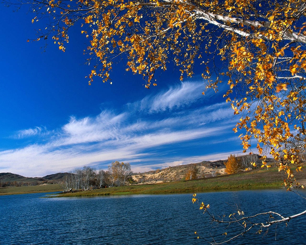 El fondo de pantalla bosque del otoño #36 - 1280x1024