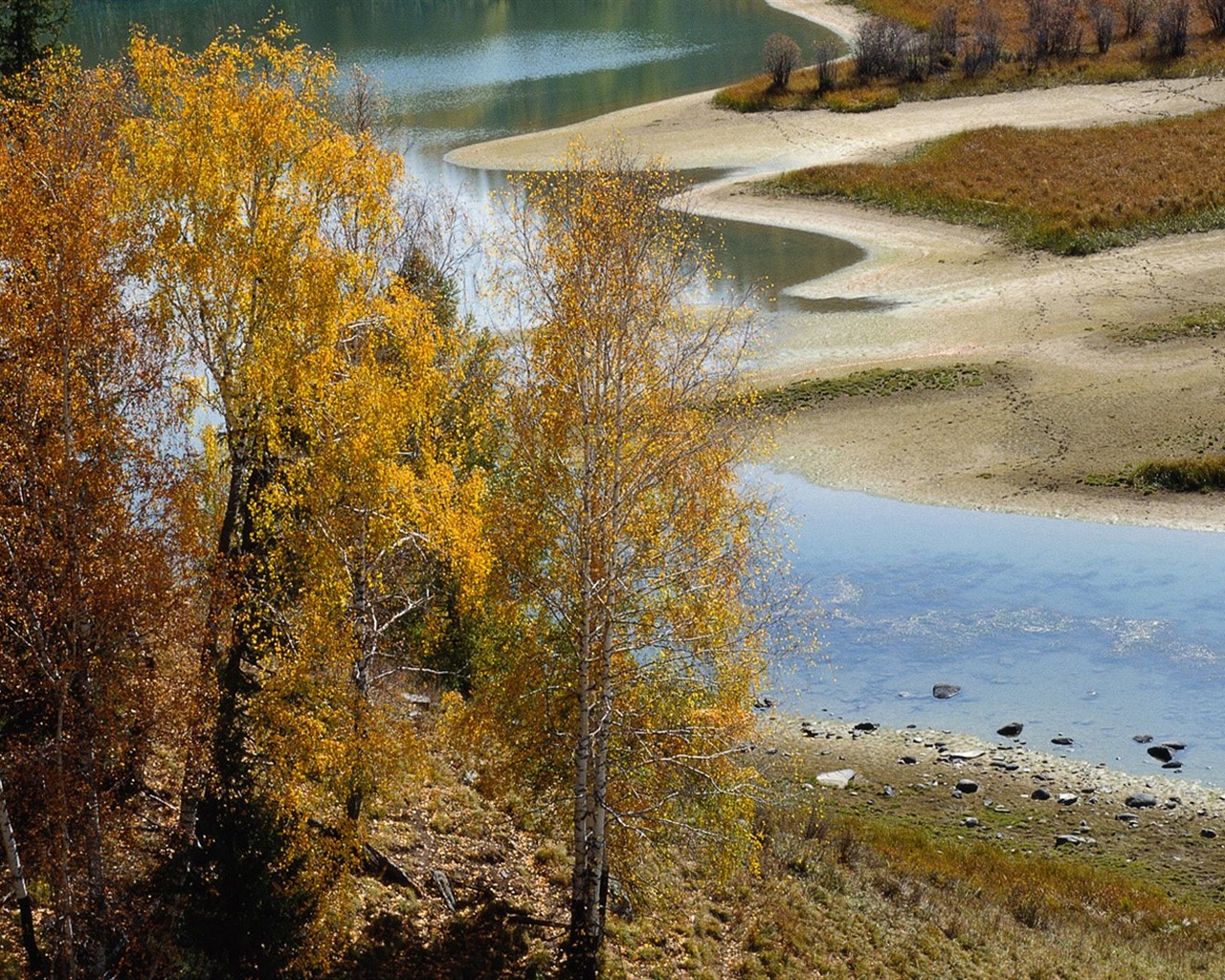 El fondo de pantalla bosque del otoño #44 - 1280x1024