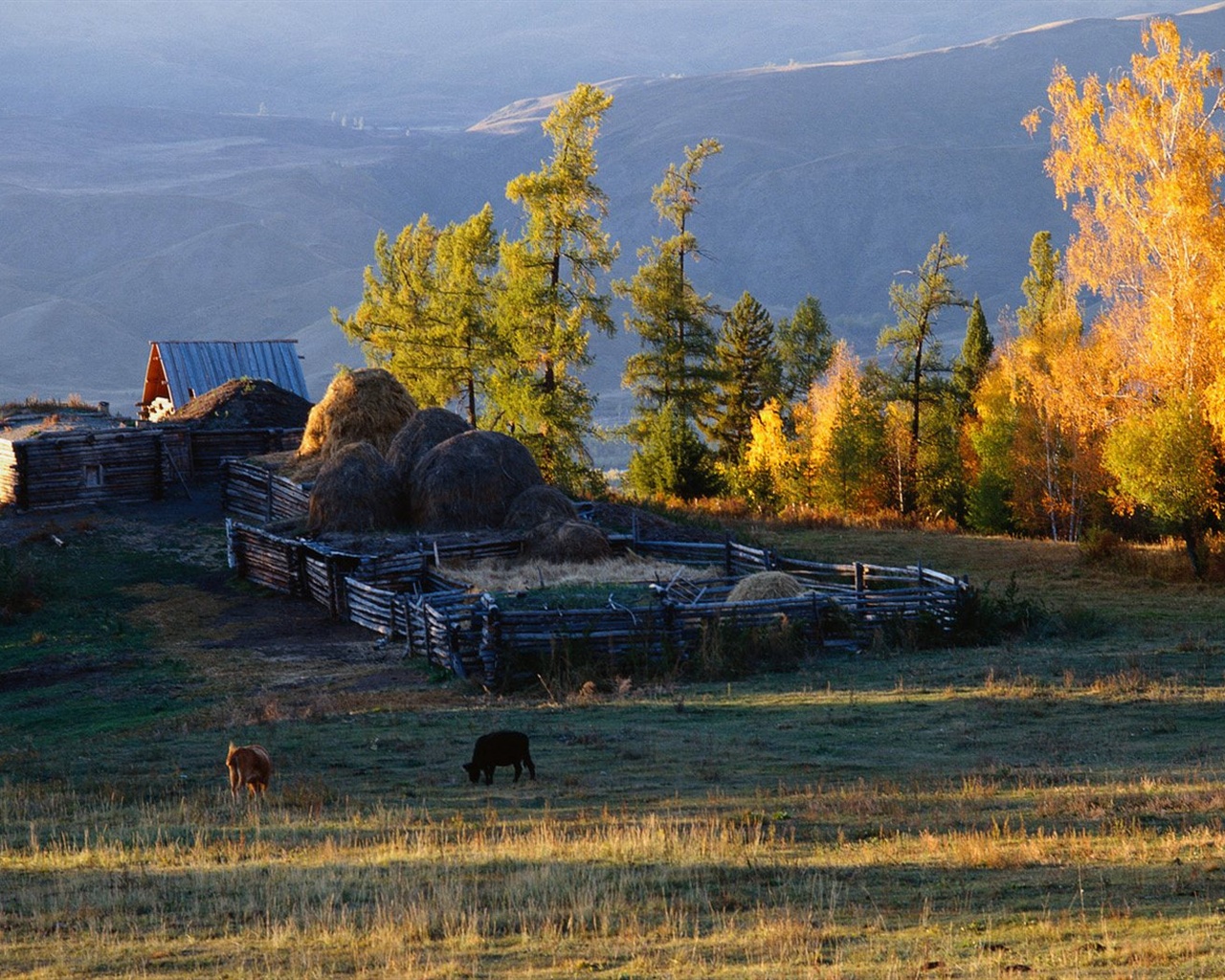 El fondo de pantalla bosque del otoño #45 - 1280x1024