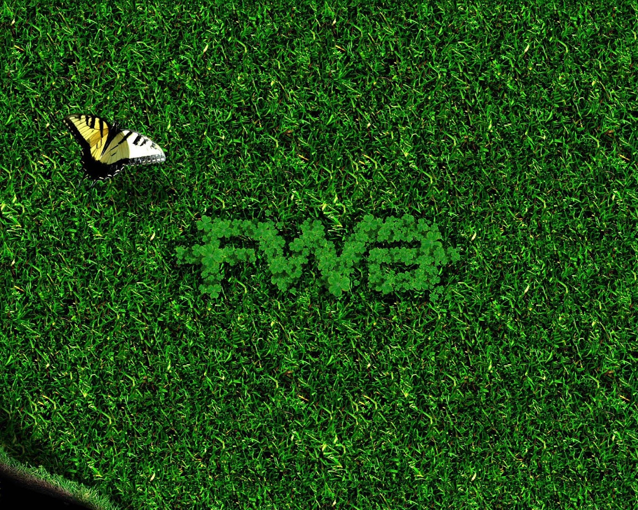 Širokoúhlé tapety FWA Album #4 - 1280x1024