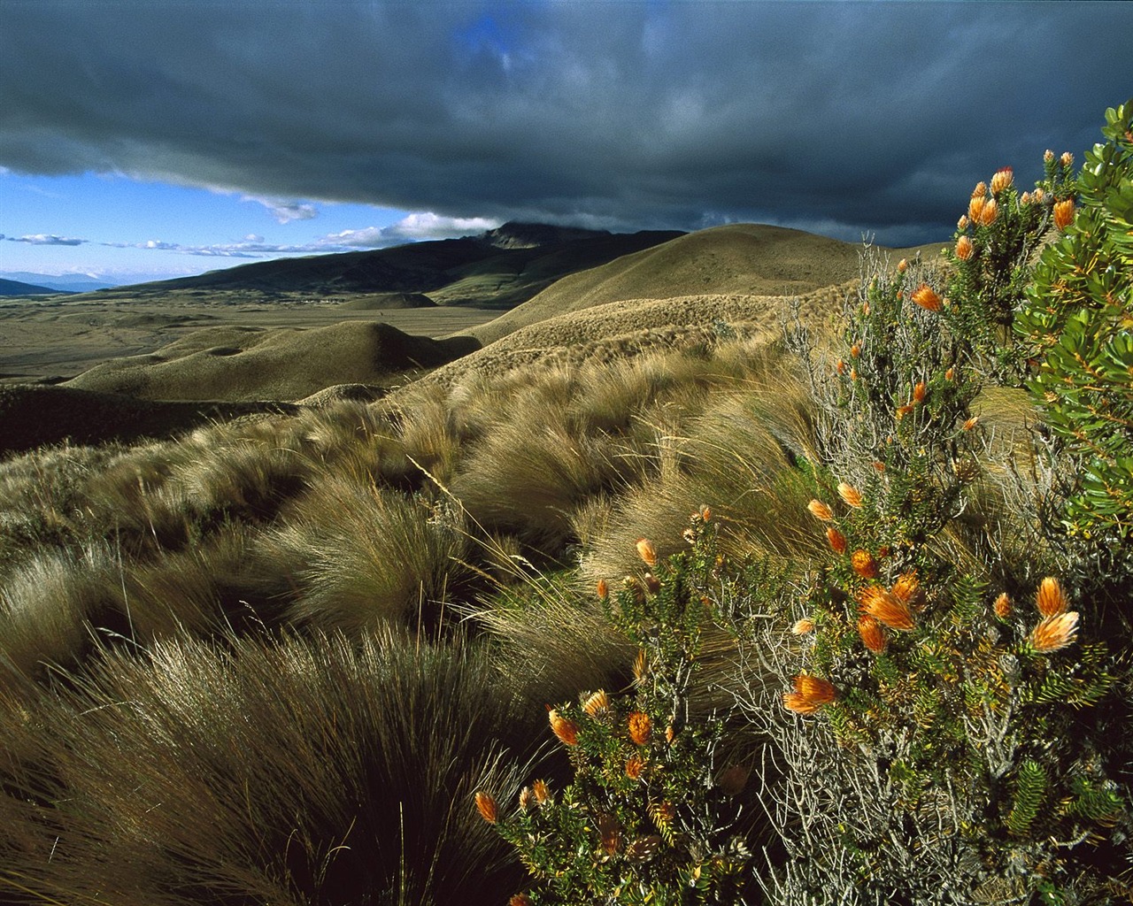 Impresionante paisaje de fondo de pantalla HD #34 - 1280x1024