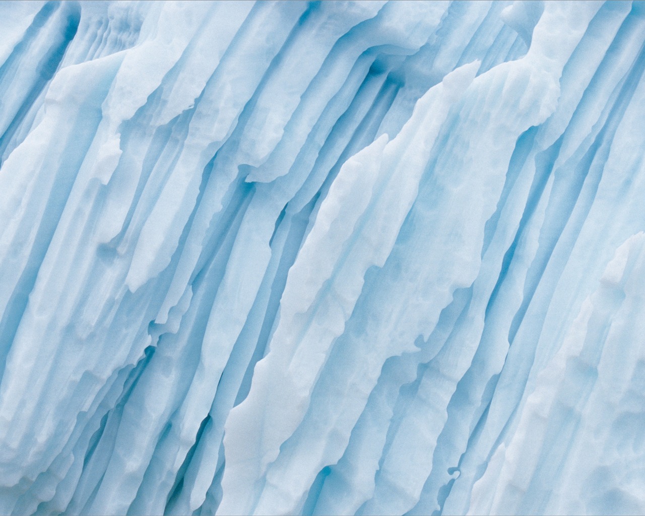Apple Snow Leopard standardní wallpaper plné #10 - 1280x1024