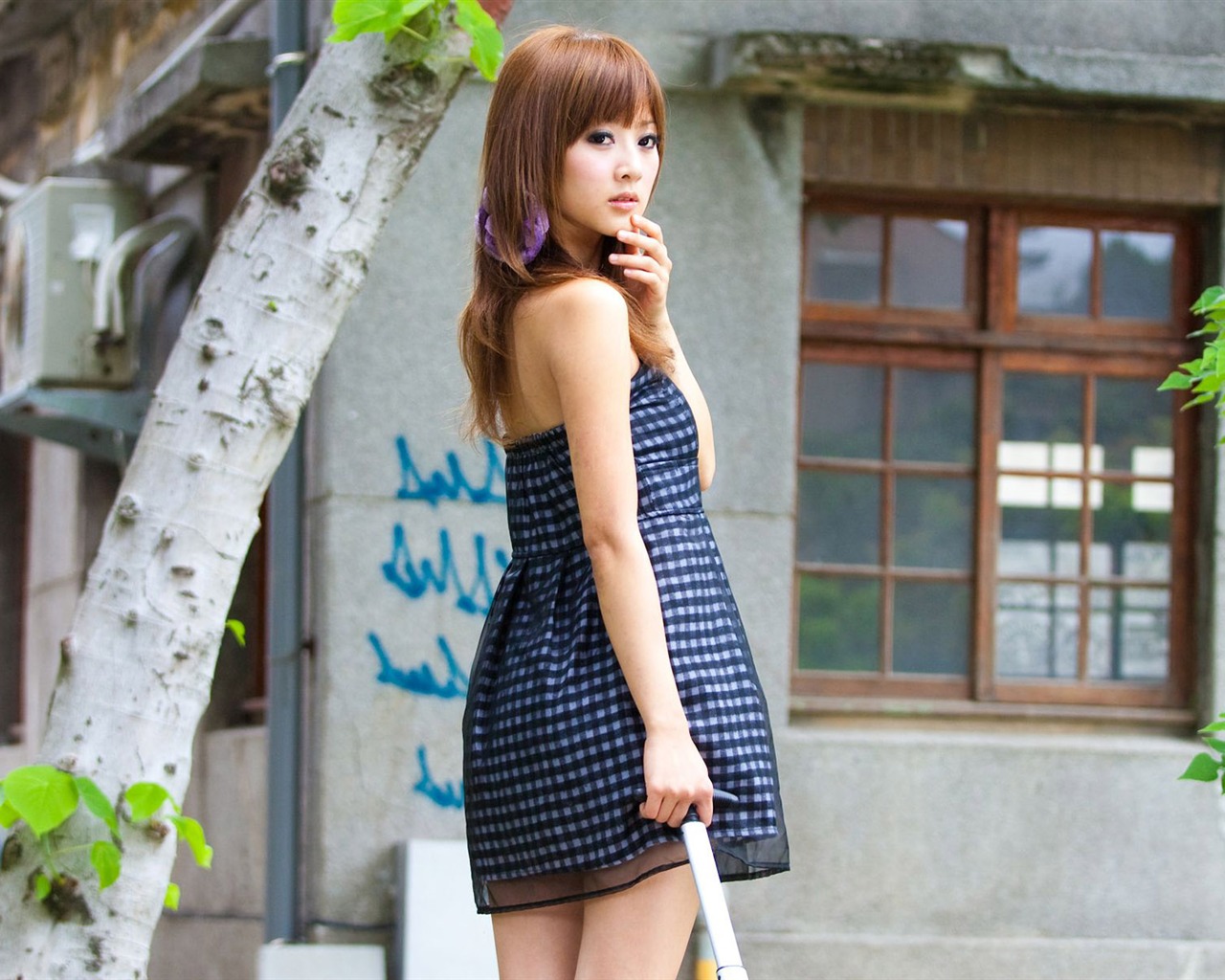 Tchaj-wan MM ovoce wallpaper album (6) #8 - 1280x1024