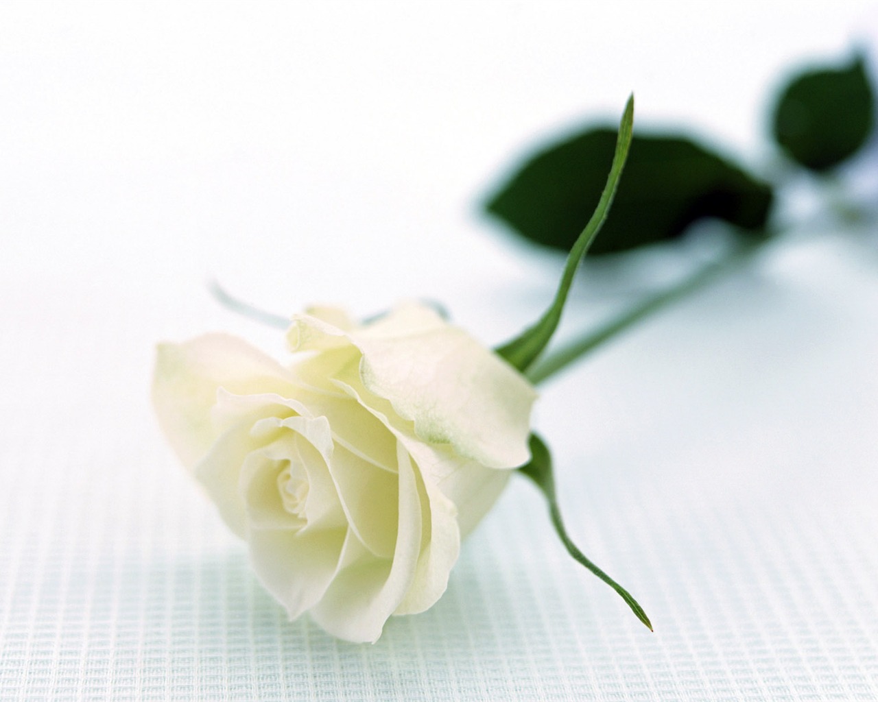 Room, exquisite flower wallpaper #9 - 1280x1024