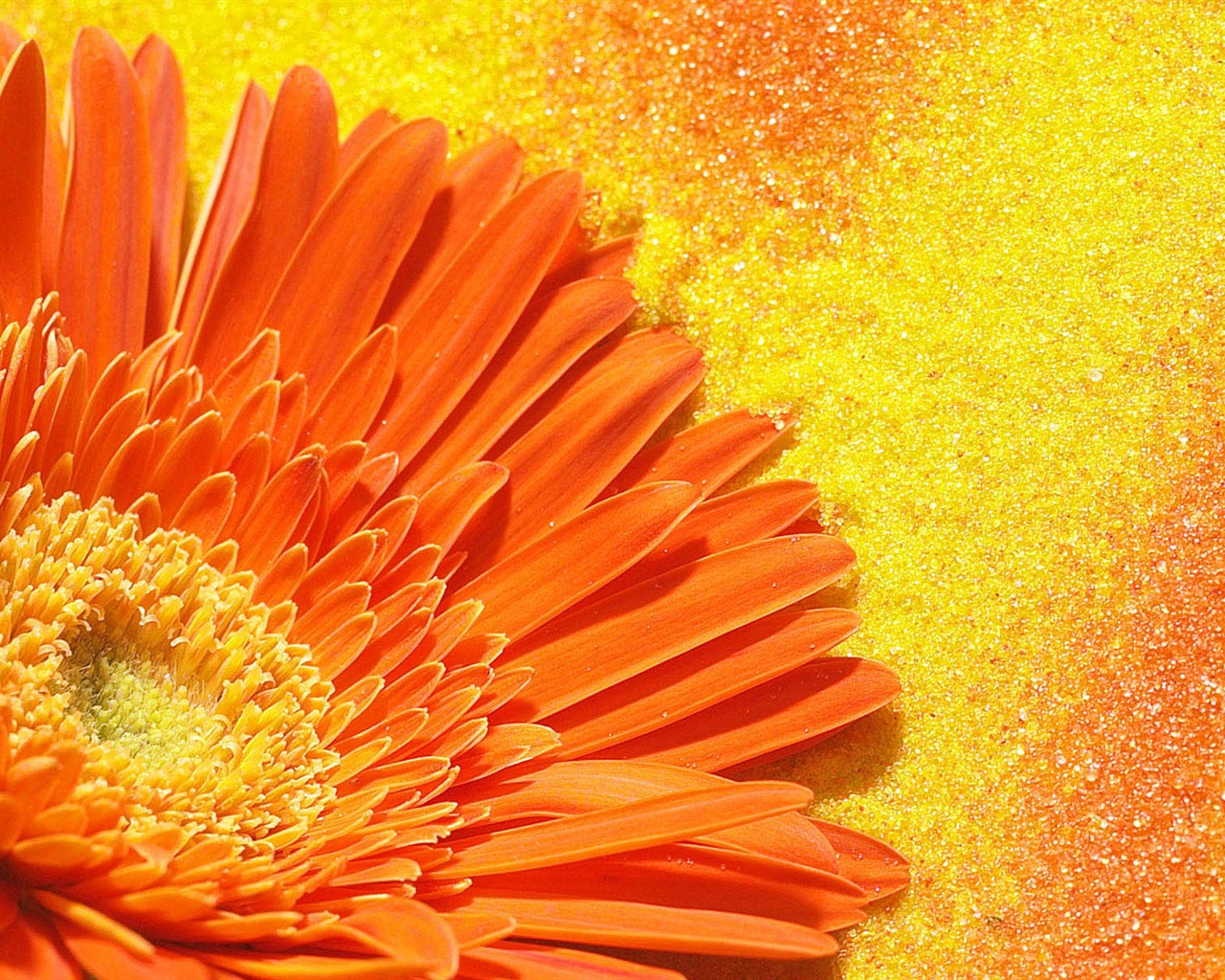 HD wallpaper flowers in full bloom #35 - 1280x1024