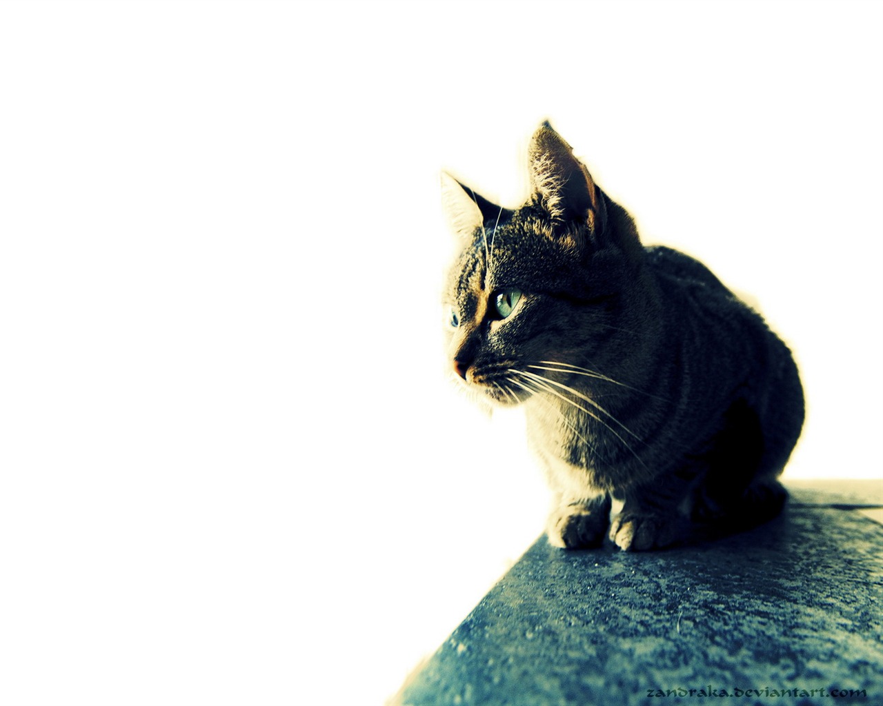 Cool non-mainstream wallpaper (1) #22 - 1280x1024
