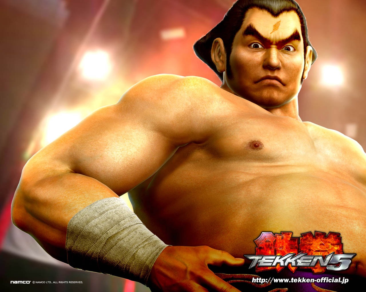 Tekken album papier peint (3) #30 - 1280x1024