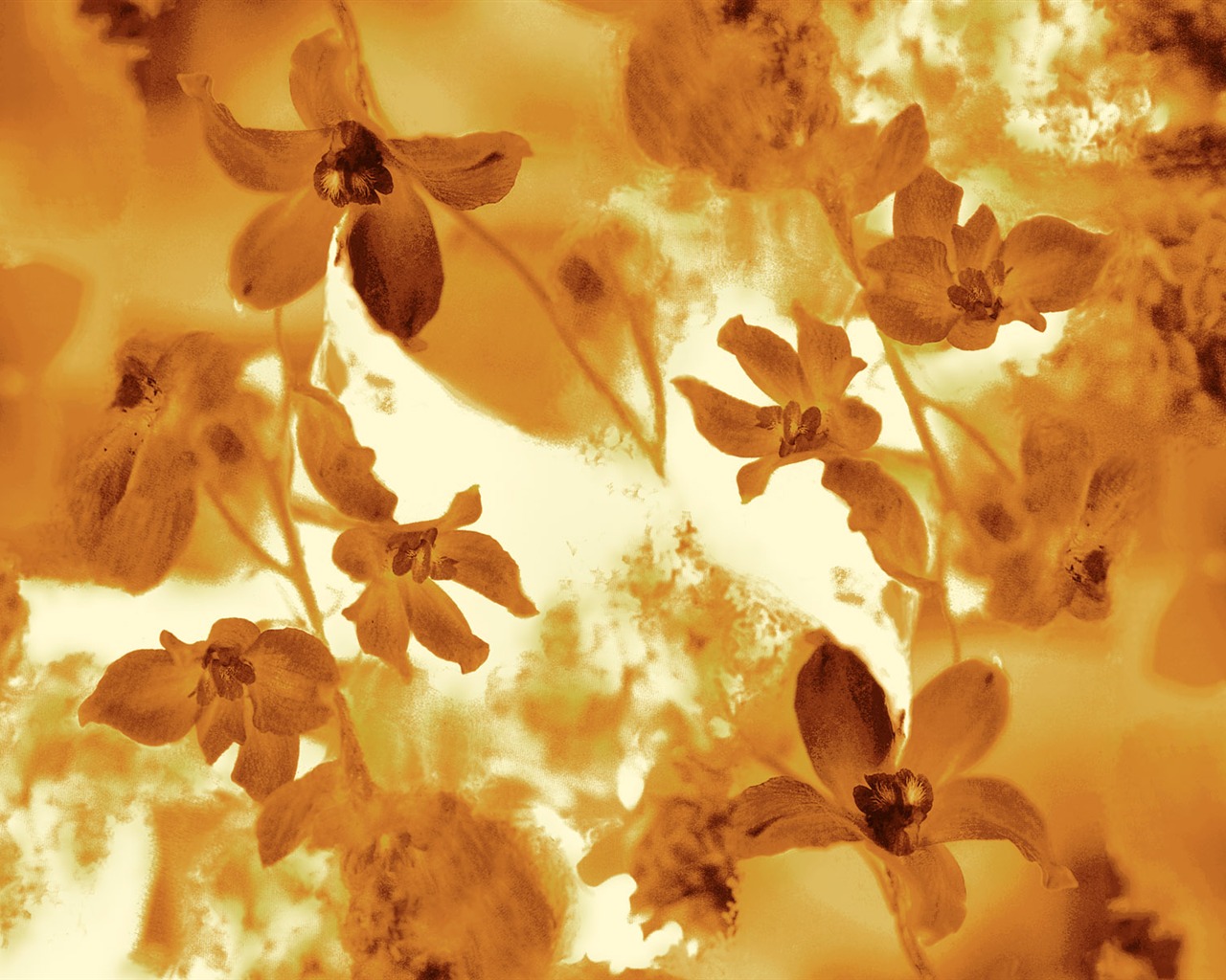 절묘한 잉크 꽃 배경 화면 #15 - 1280x1024