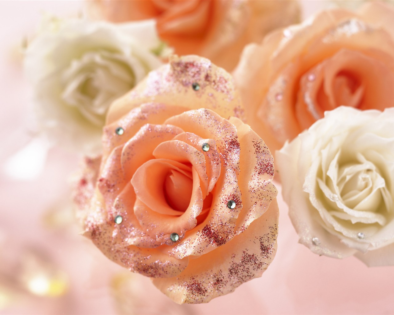 Flowers Gifts HD Wallpapers (1) #14 - 1280x1024