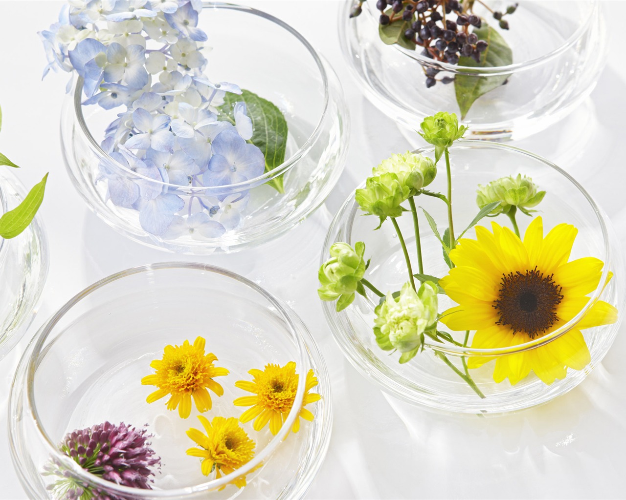 Flowers Gifts HD Wallpapers (1) #20 - 1280x1024