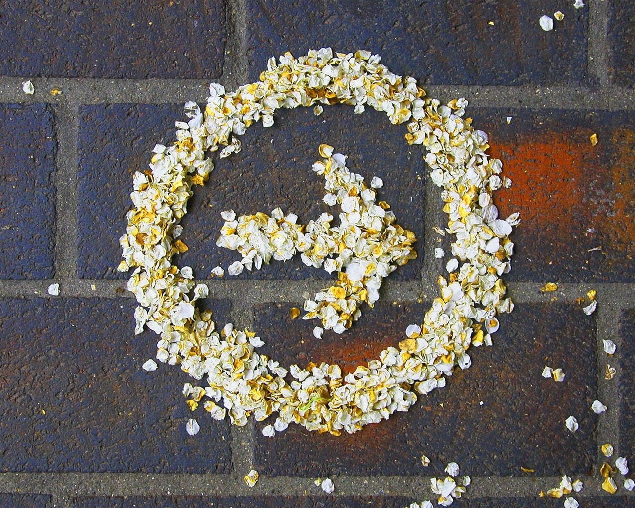 Fonds d'écran Seventh Street Creative #3 - 1280x1024