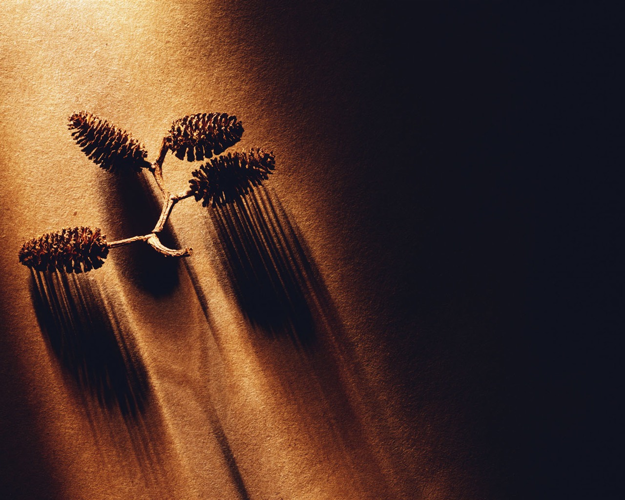 Millennium biological Wallpaper Album (2) #6 - 1280x1024