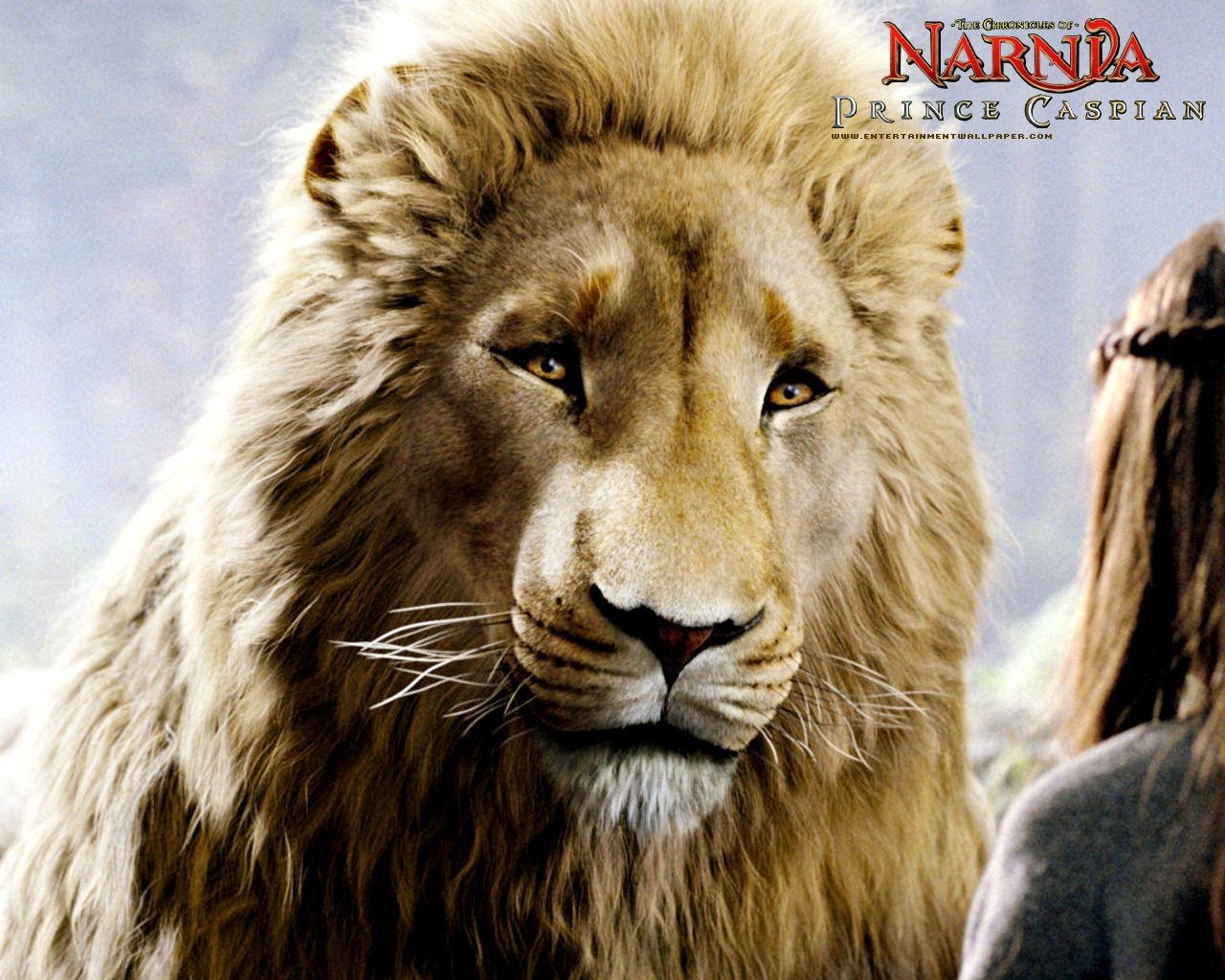Le Monde de Narnia 2: Prince Caspian #5 - 1280x1024
