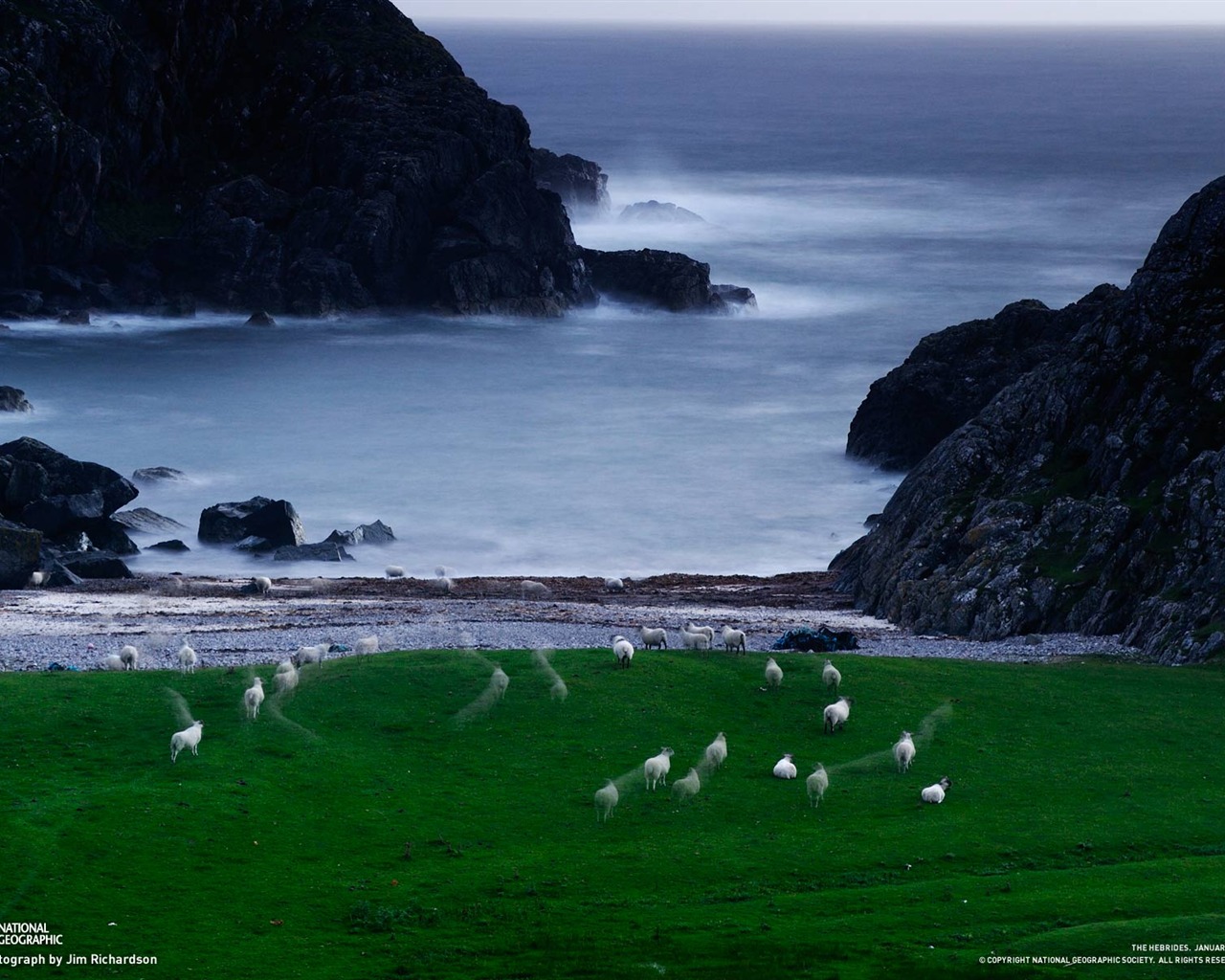 National Geographic Wallpapers Animal articles (1) #5 - 1280x1024