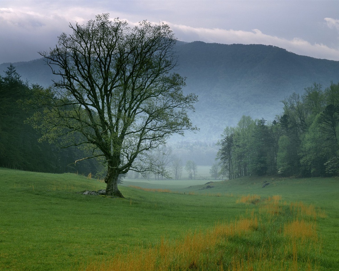 Webshots Scenery Wallpapers (5) #13 - 1280x1024