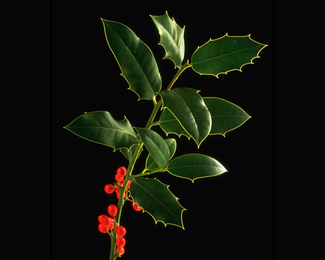 vánoční terénní řady tapety (15) #12 - 1280x1024