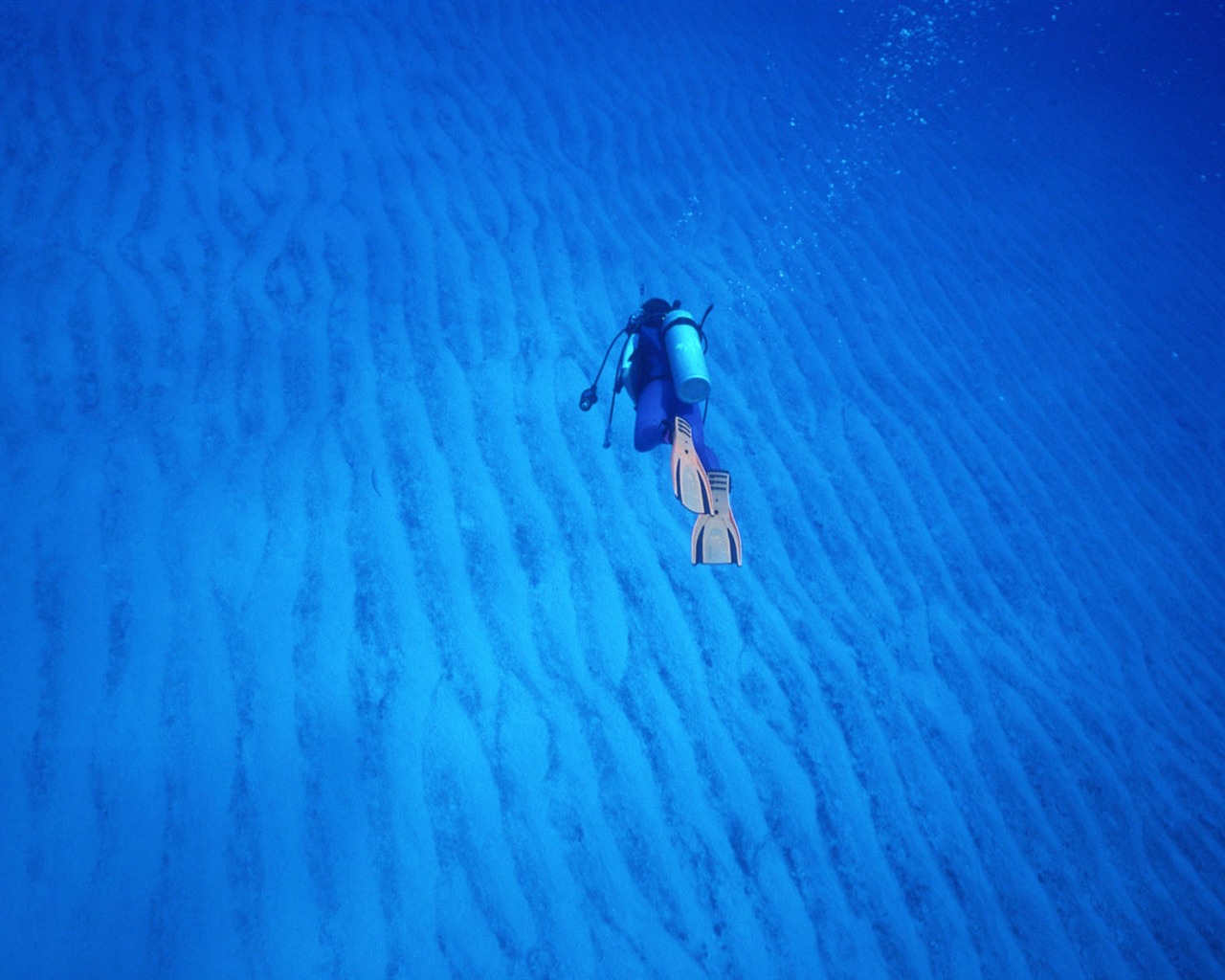 Deep Blue Underwater World Wallpaper #6 - 1280x1024