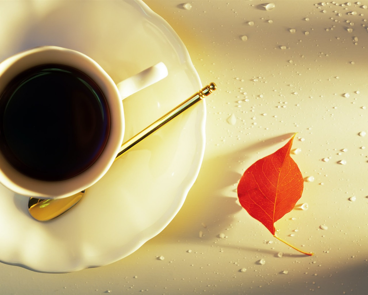 Indoor Still Life Wallpaper Album (1) #19 - 1280x1024