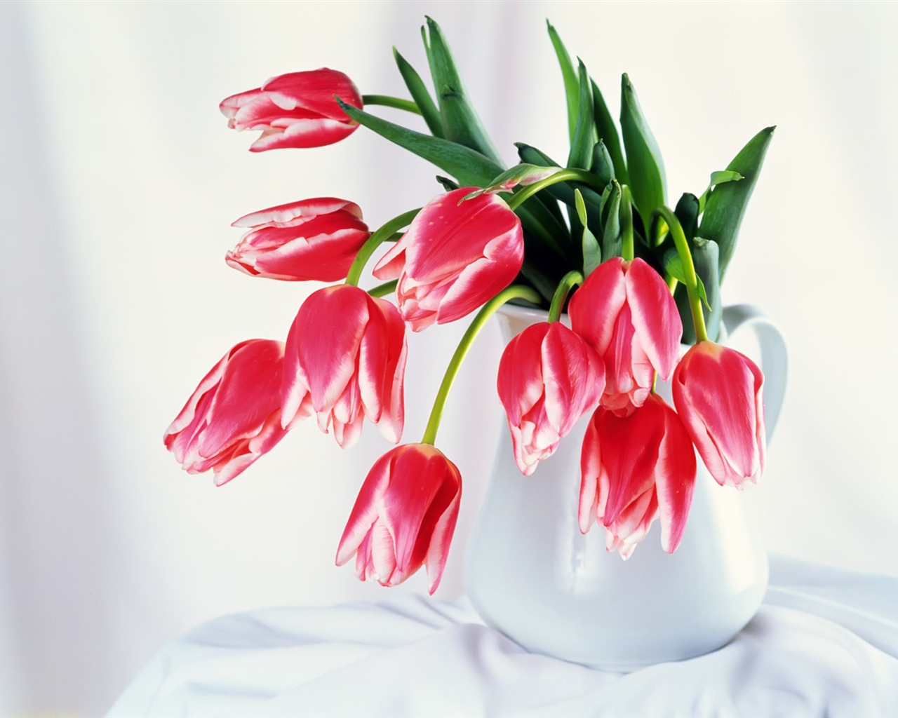 Vnitřní Still Life Wallpaper Album (2) #1 - 1280x1024