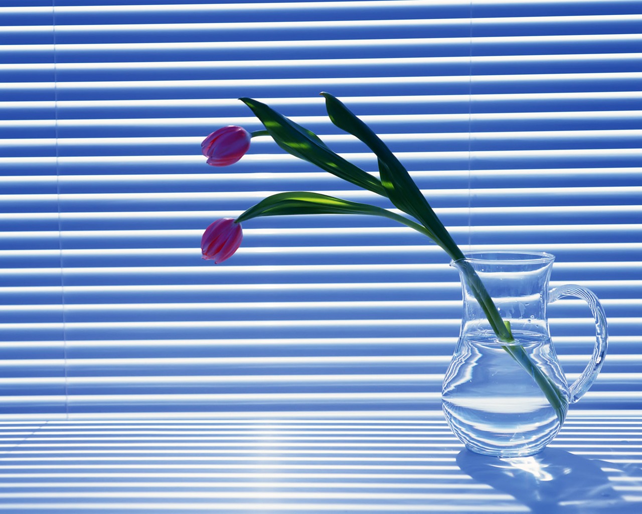 Vnitřní Still Life Wallpaper Album (2) #15 - 1280x1024