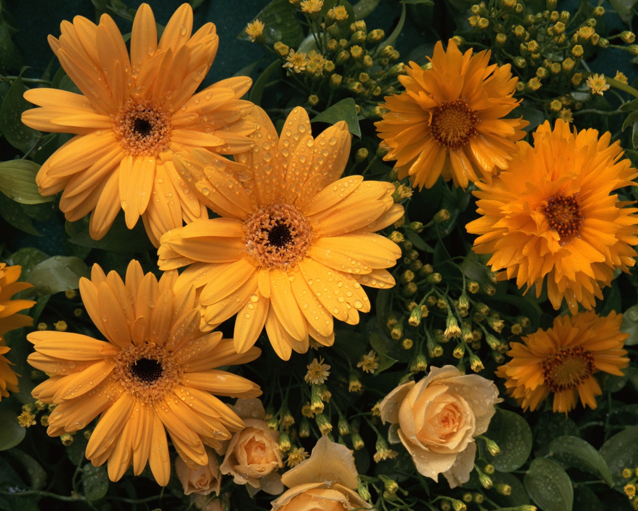 Flowers close-up (10) #17 - 1280x1024