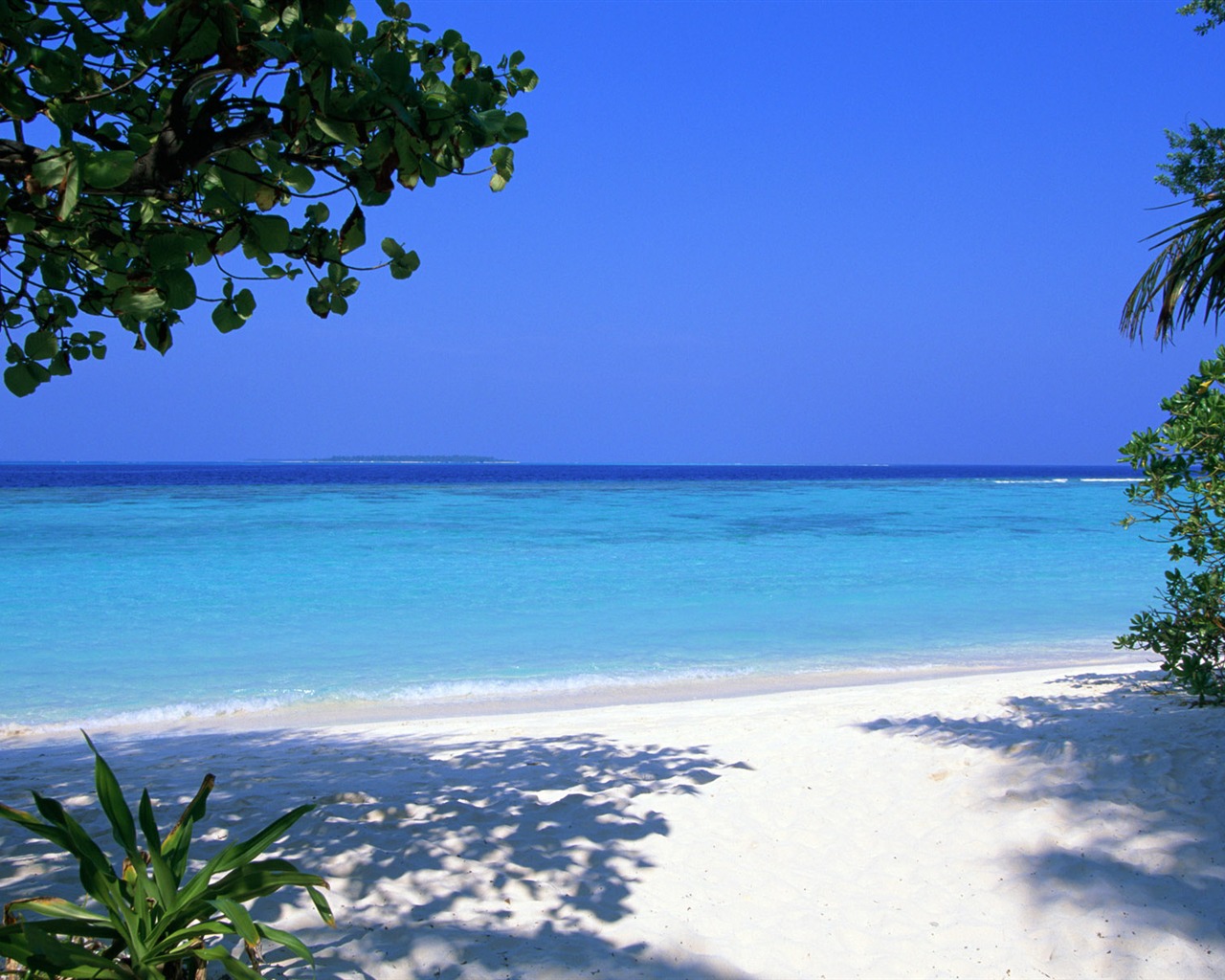 Beach alba Krajina wallpaper #25 - 1280x1024