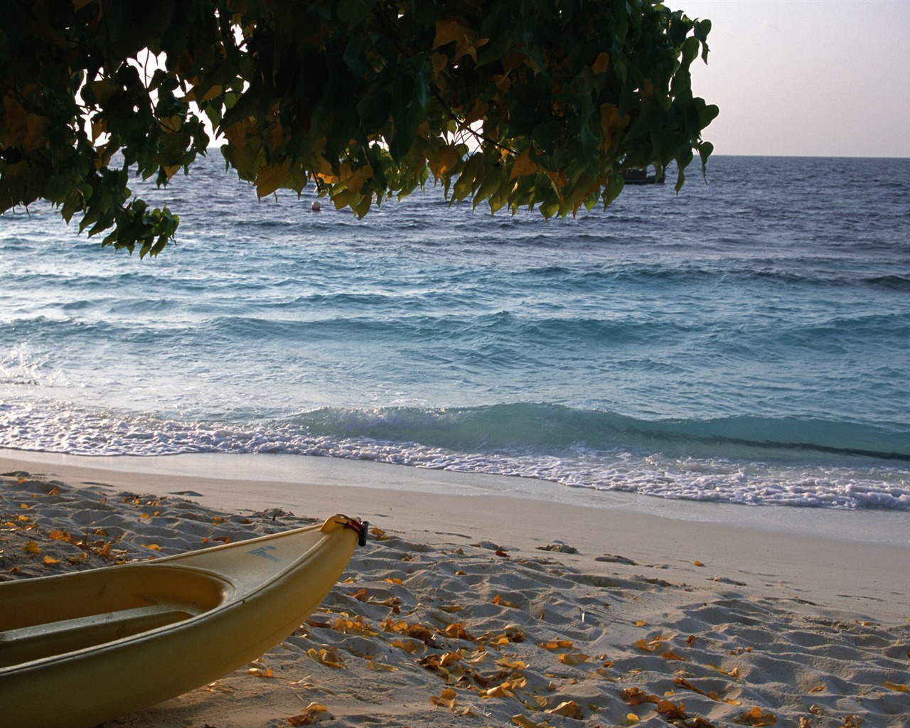 Beach alba Krajina wallpaper #32 - 1280x1024