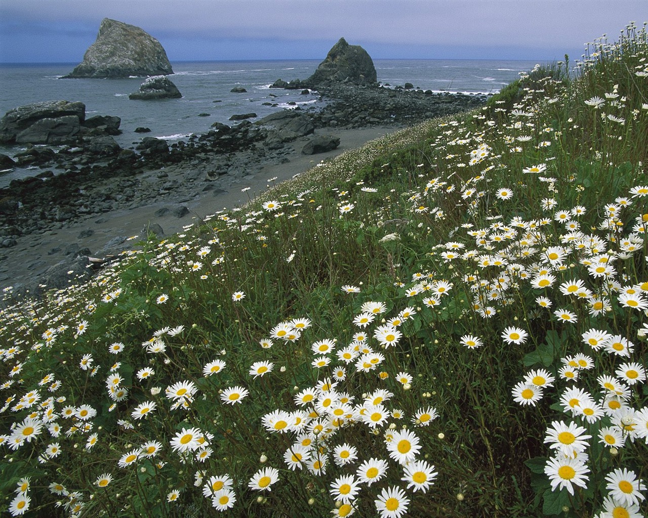 Webshots Scenery Wallpapers (7) #7 - 1280x1024