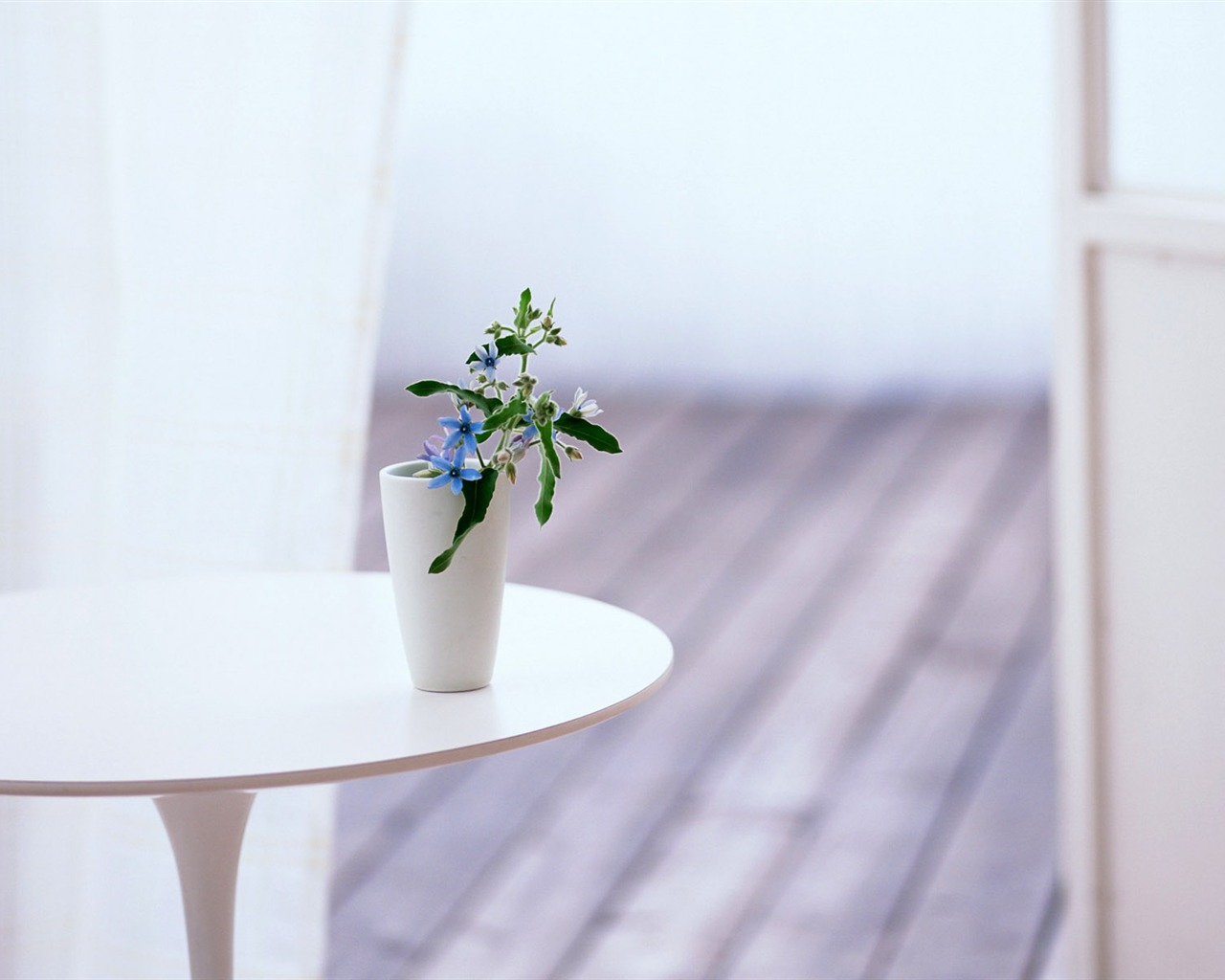 Indoor Still Life Wallpaper Album (4) #7 - 1280x1024