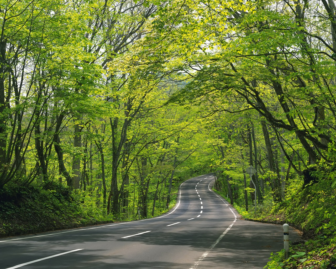 Road Photo Wallpaper #33 - 1280x1024