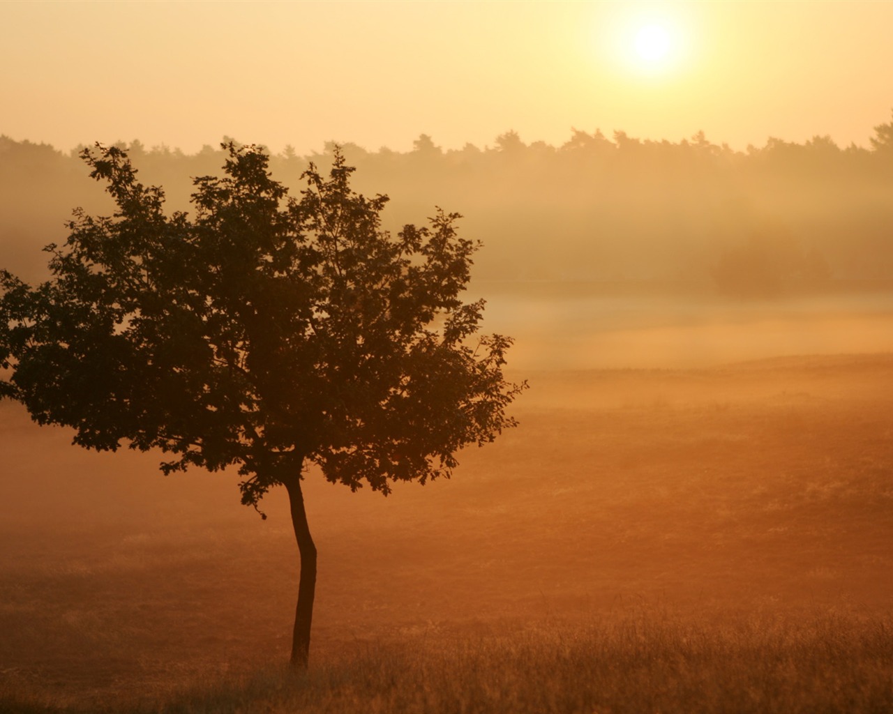 Glow of sunset HD exquisite wallpaper (1) #8 - 1280x1024