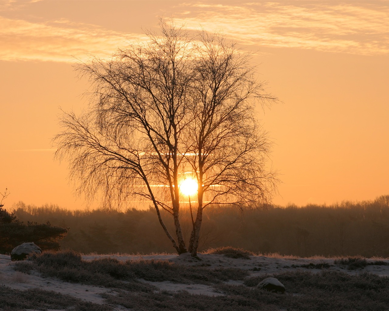 záře slunce HD skvělé tapety (1) #16 - 1280x1024