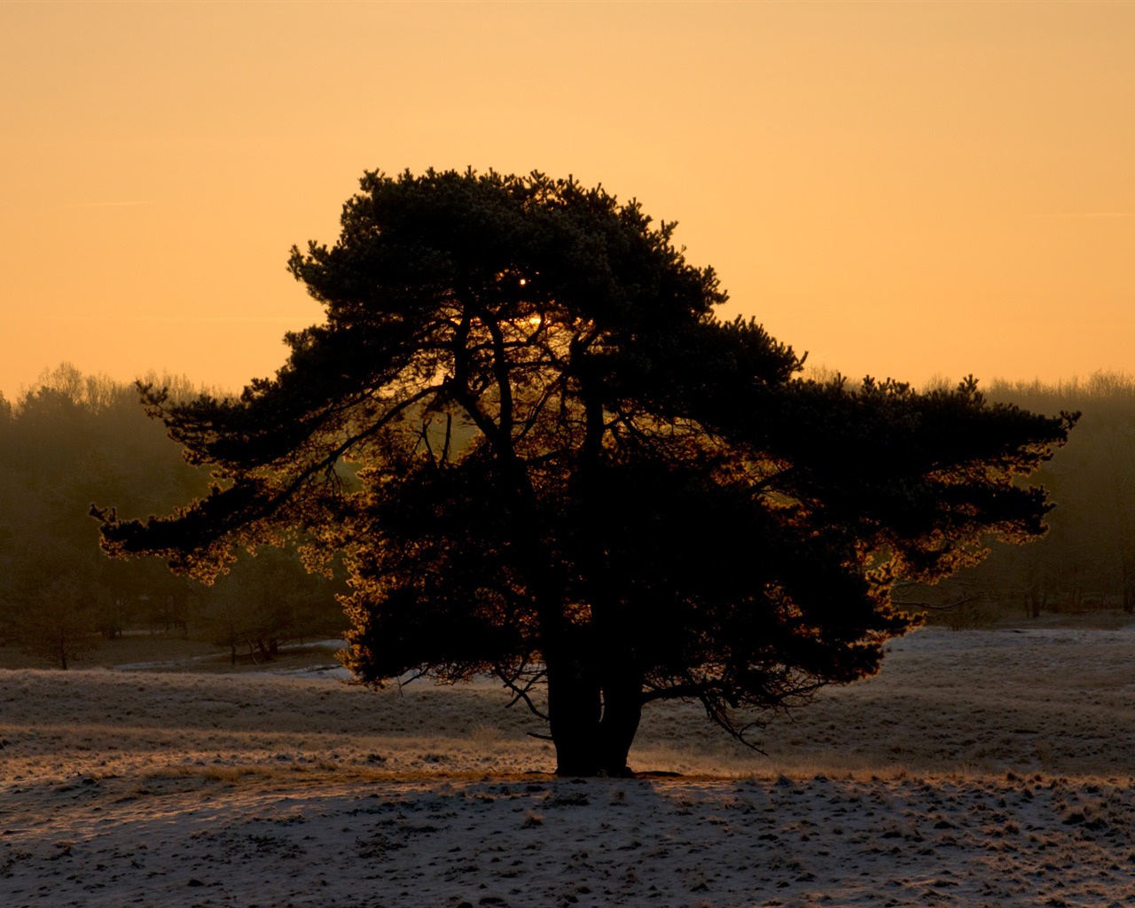 Glow du coucher du soleil HD Wallpaper exquise (1) #36 - 1280x1024