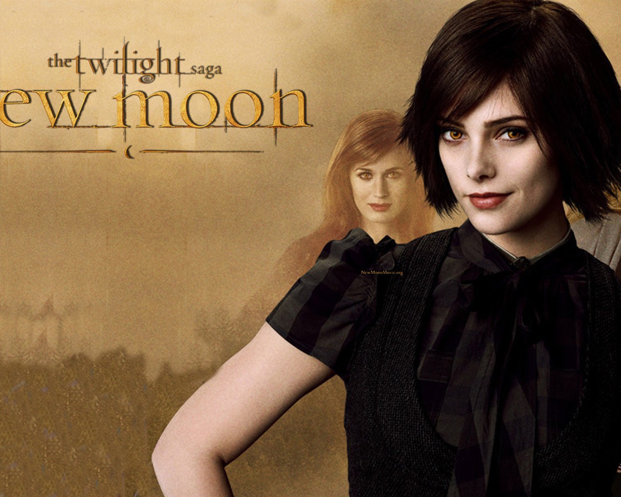 Saga Twilight: New Moon wallpaper album (1) #7 - 1280x1024