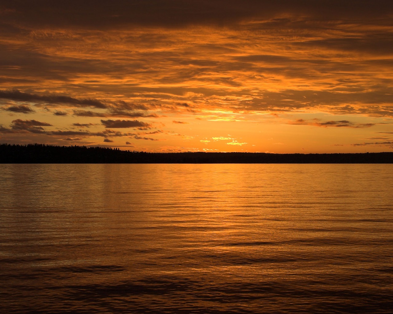 záře slunce HD skvělé tapety (2) #28 - 1280x1024