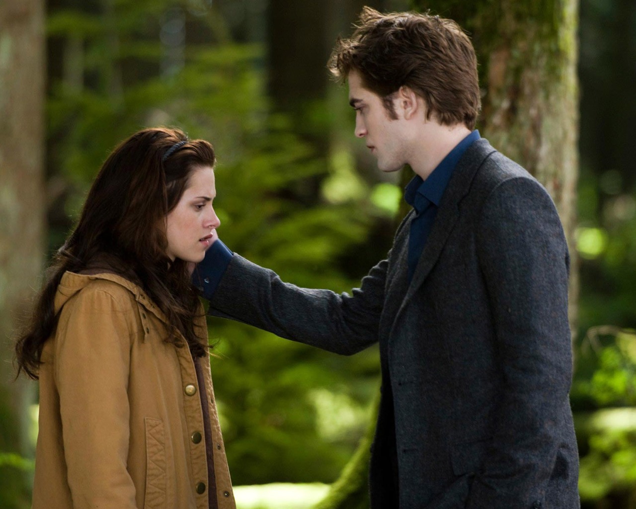 Saga Twilight: New Moon wallpaper album (2) #2 - 1280x1024