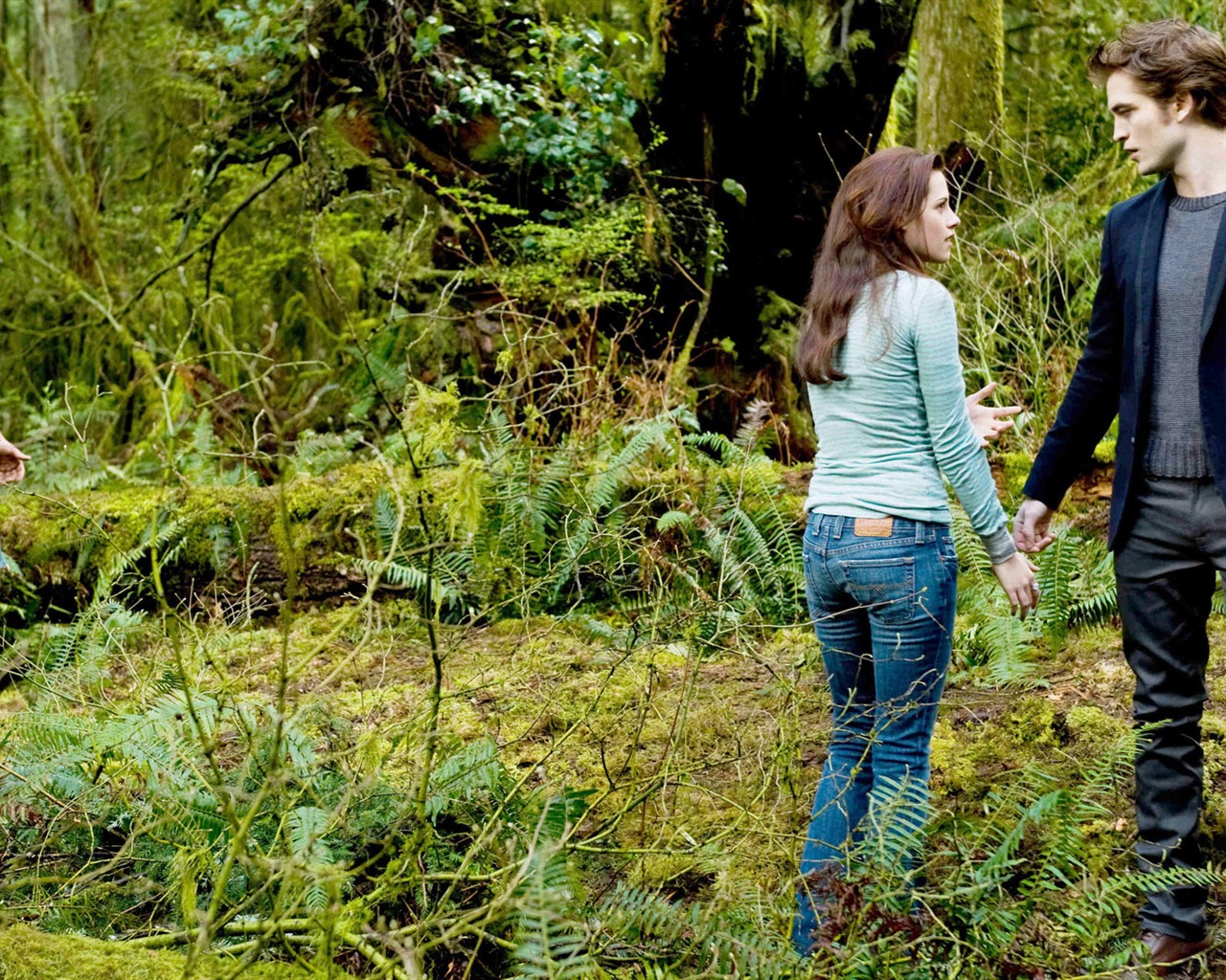 Saga Twilight: New Moon wallpaper album (2) #19 - 1280x1024