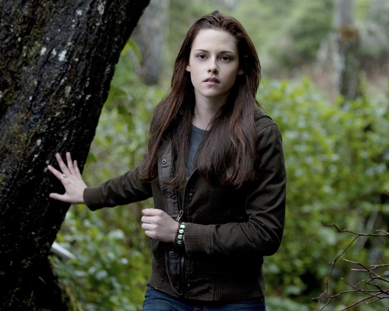 The Twilight Saga: New Moon wallpaper album (3) #19 - 1280x1024