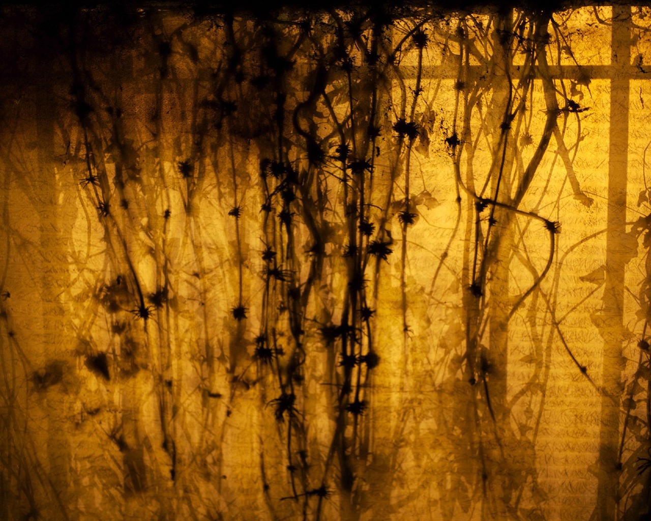 s rytmem přírodní scenérie tapety #14 - 1280x1024
