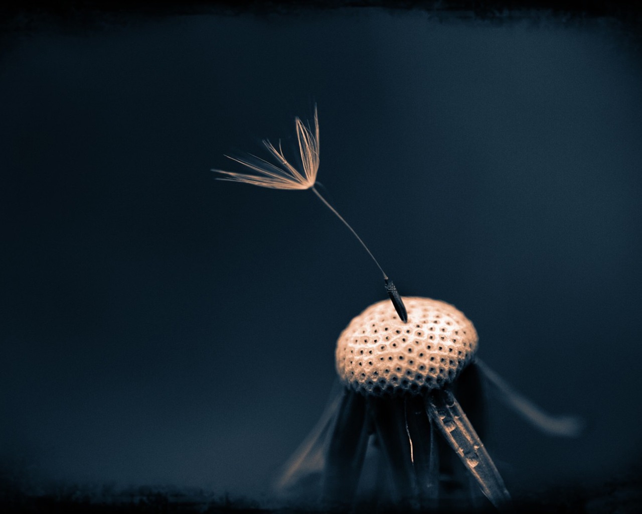 s rytmem přírodní scenérie tapety #19 - 1280x1024