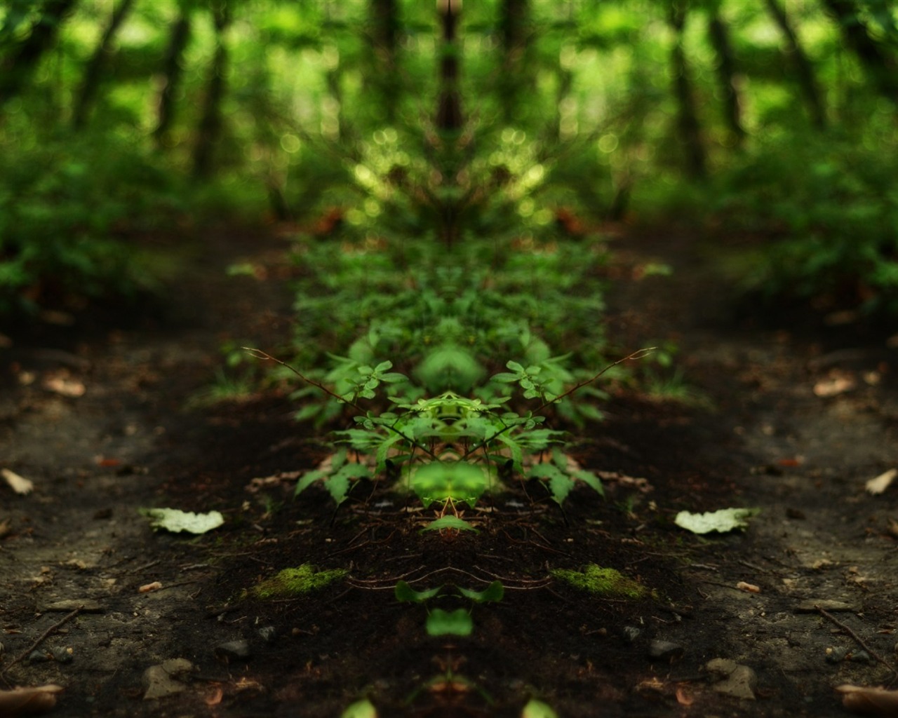 s rytmem přírodní scenérie tapety #27 - 1280x1024