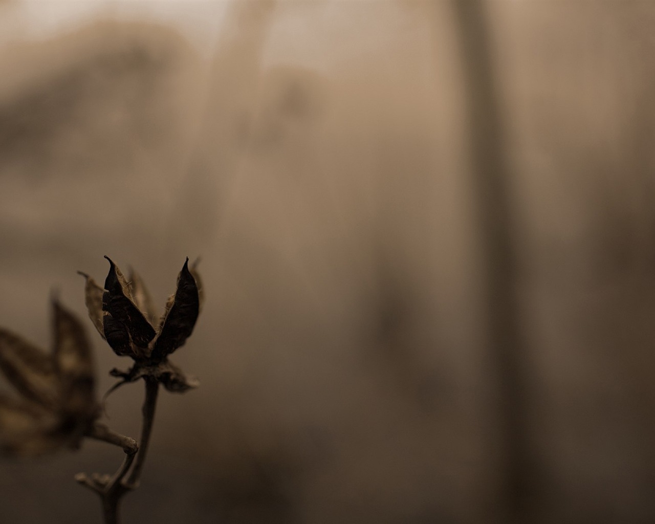 With the beat of natural scenery wallpaper #29 - 1280x1024