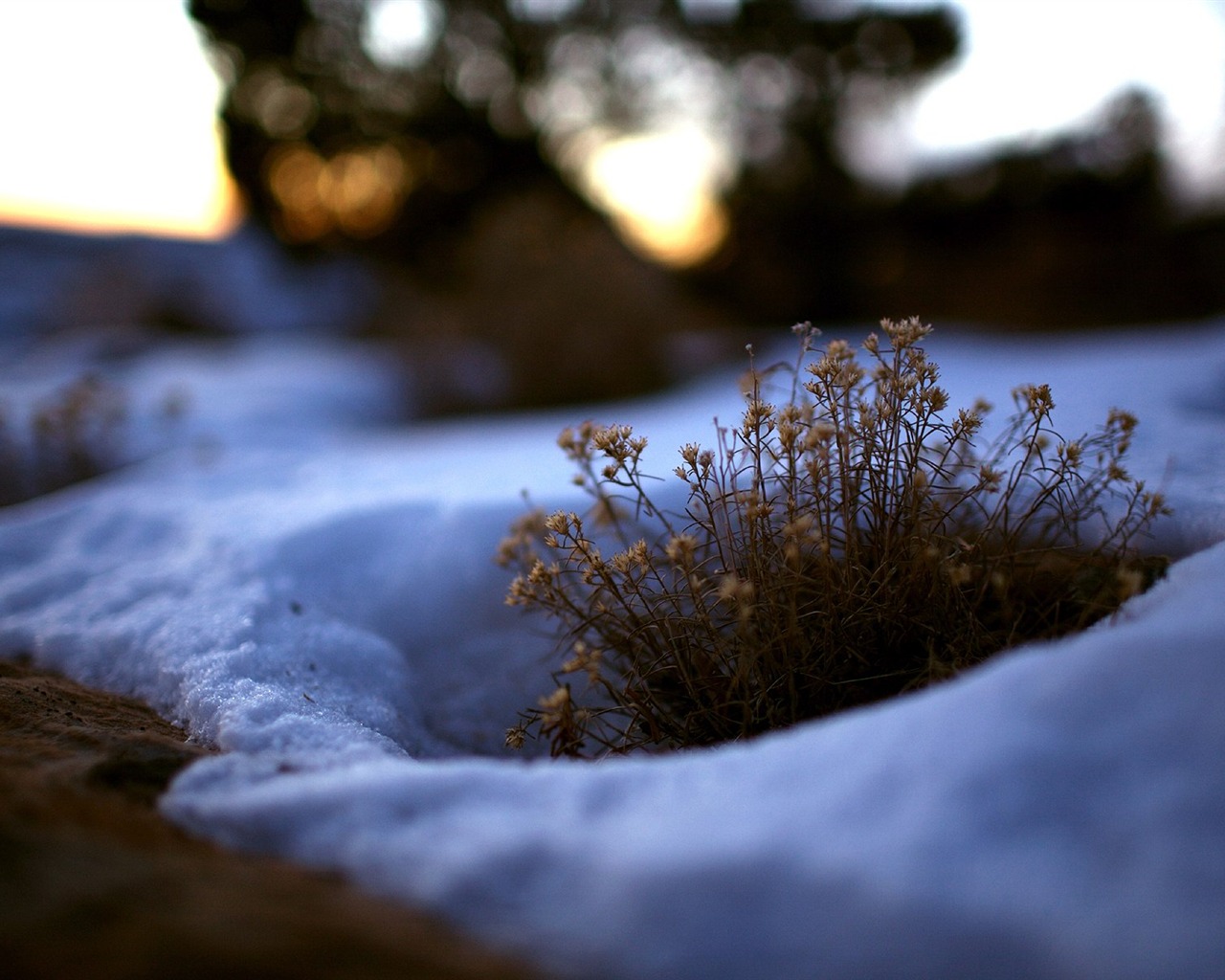 s rytmem přírodní scenérie tapety #30 - 1280x1024
