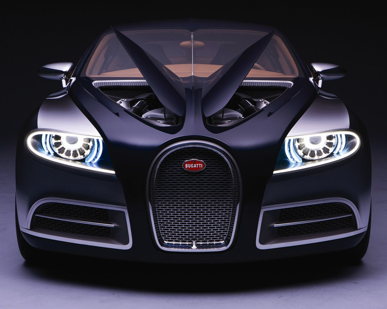 Bugatti Veyron Fondos de disco (2) #1 - 1280x1024