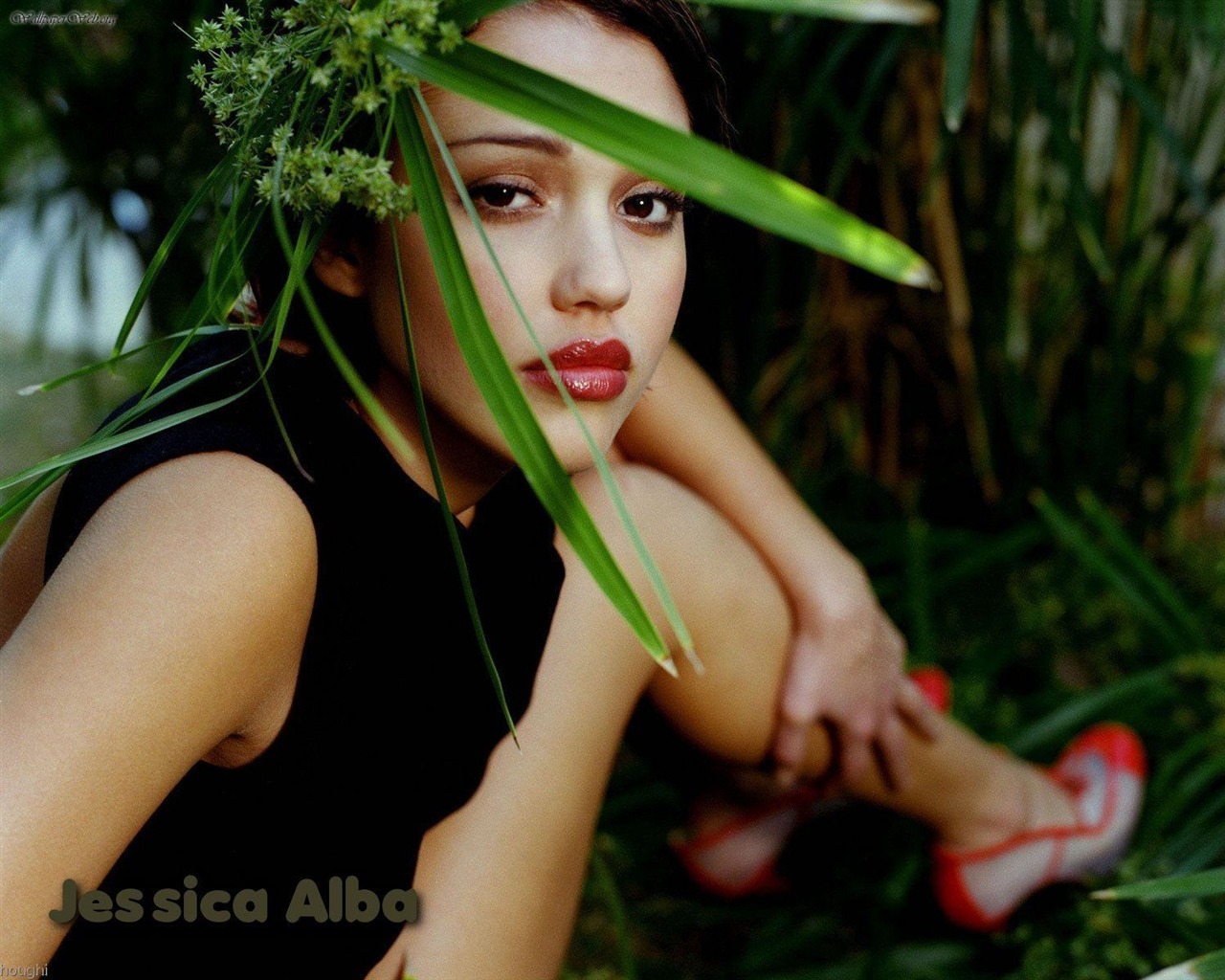 Jessica Alba krásnou tapetu (3) #1 - 1280x1024