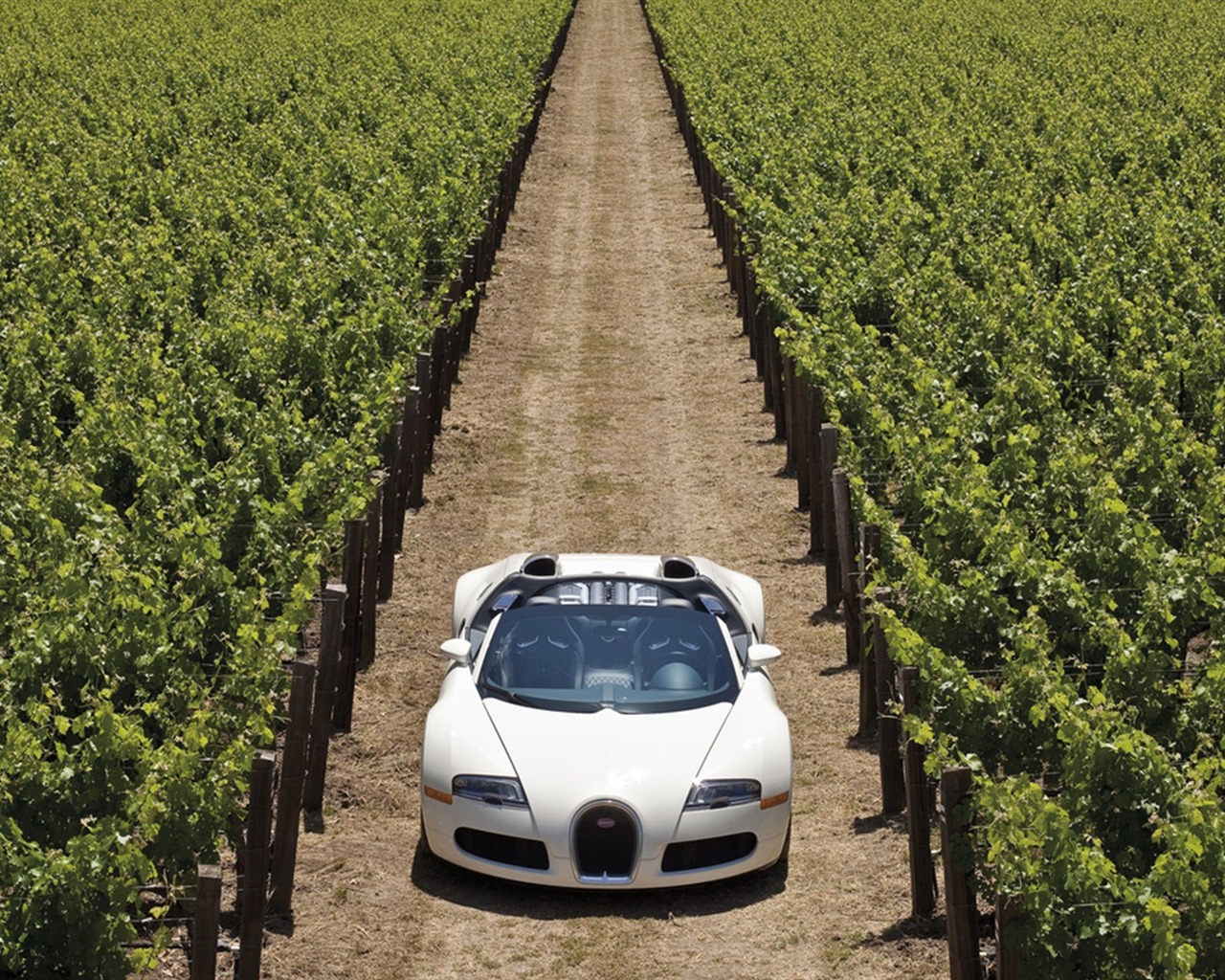 Album Bugatti Veyron Fond d'écran (3) #3 - 1280x1024
